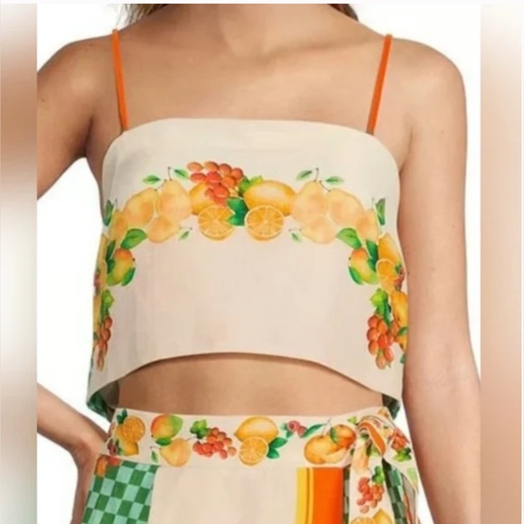 ANTONIO MELANI Tops - NWT Antonio Melani CLIO Collection Citrus Crop Top Sz 6